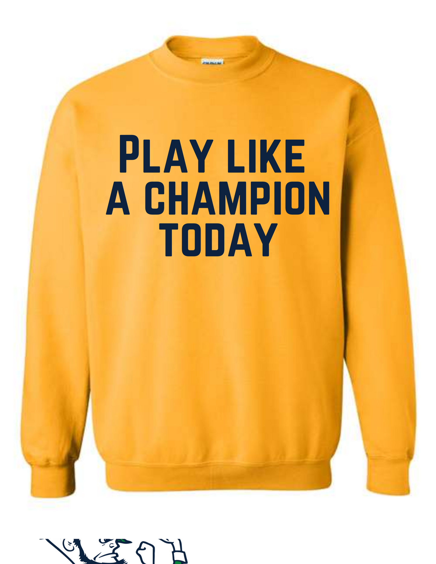 Play Like A Champion