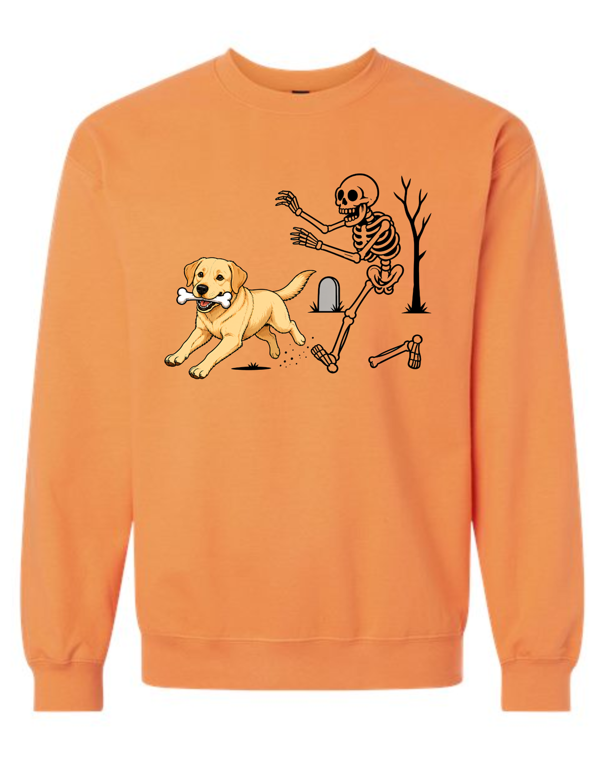 Dog Bone Skeleton
