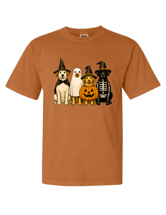 Dogs Trick or Treating